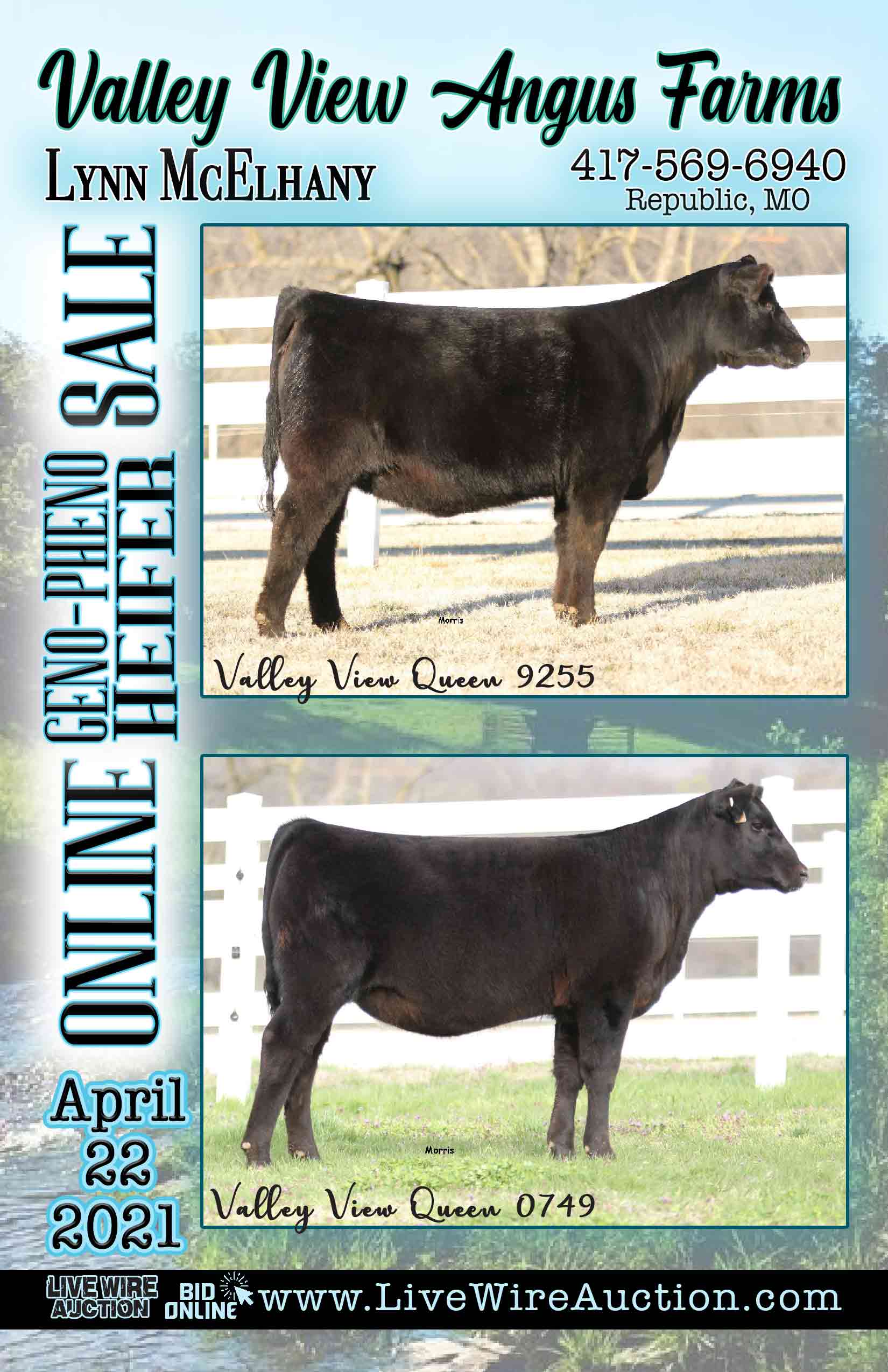 Valley View Angus Farms Heifer Sale Catalog